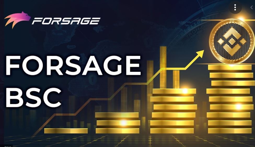 Forsage BNB Review – Is Forsage BNB Legit Or Scam? find out