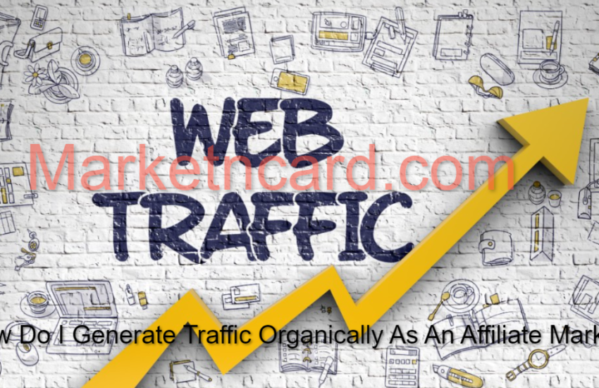 How Do I Generate Traffic Organically As An Affiliate Marketer | Best 6 Organic Traffic Sources